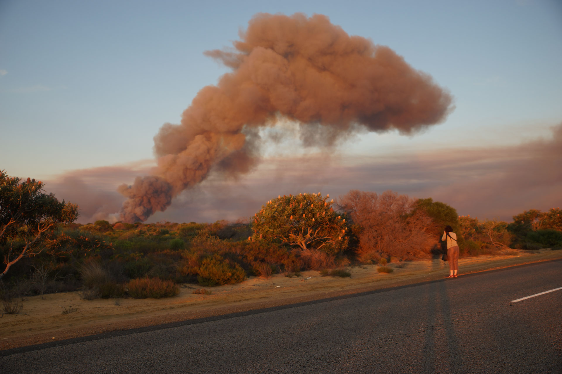 Kalberri - jährliche Brandrodung